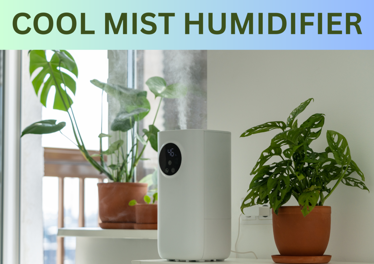 Cool Mist Humidifier