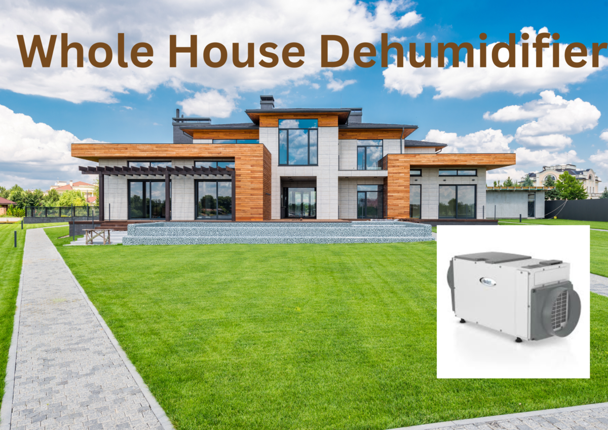 Whole House Dehumidifier