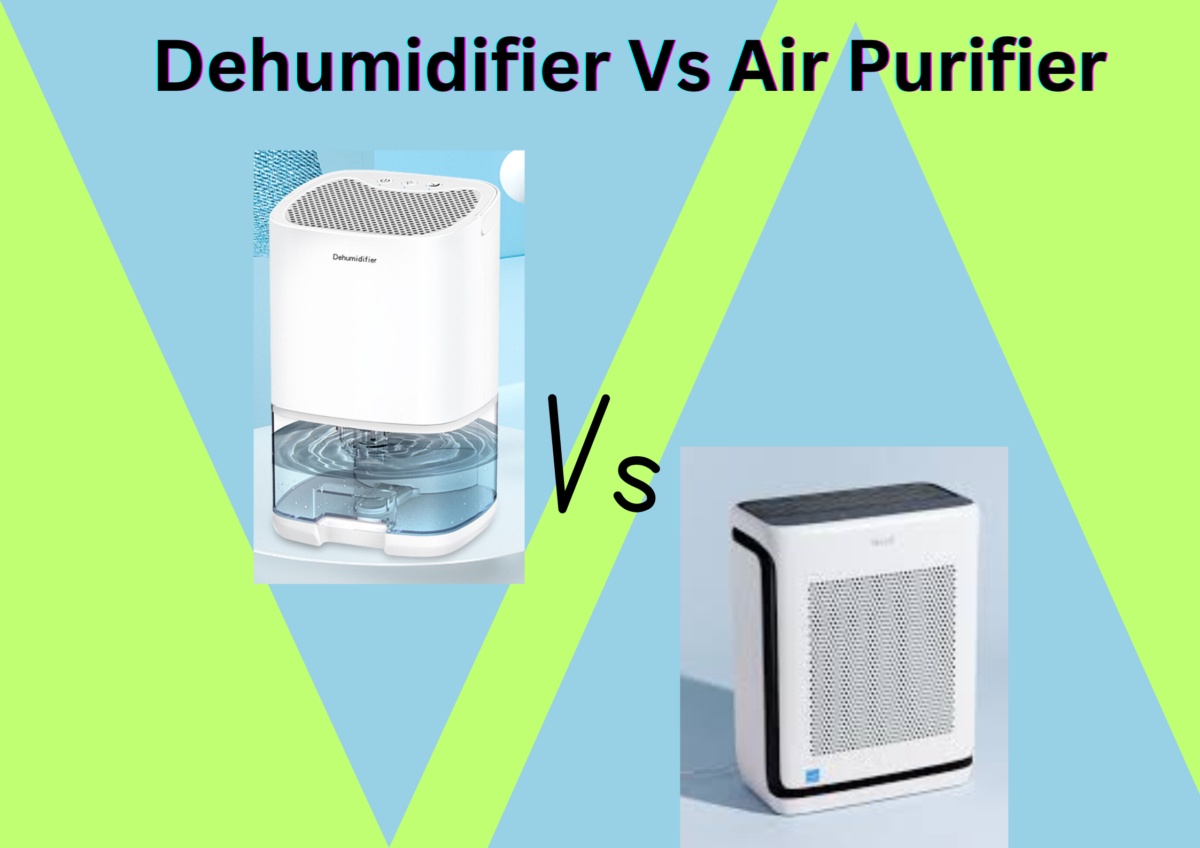 Dehumidifier Vs Air Purifier