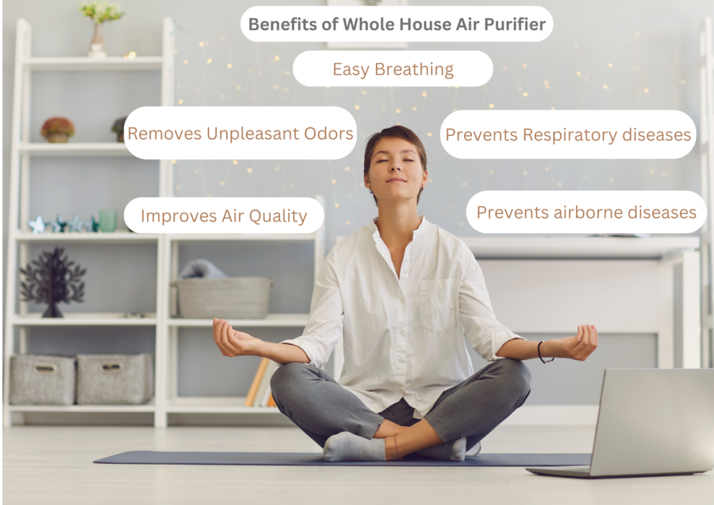 Whole House Air Purifier