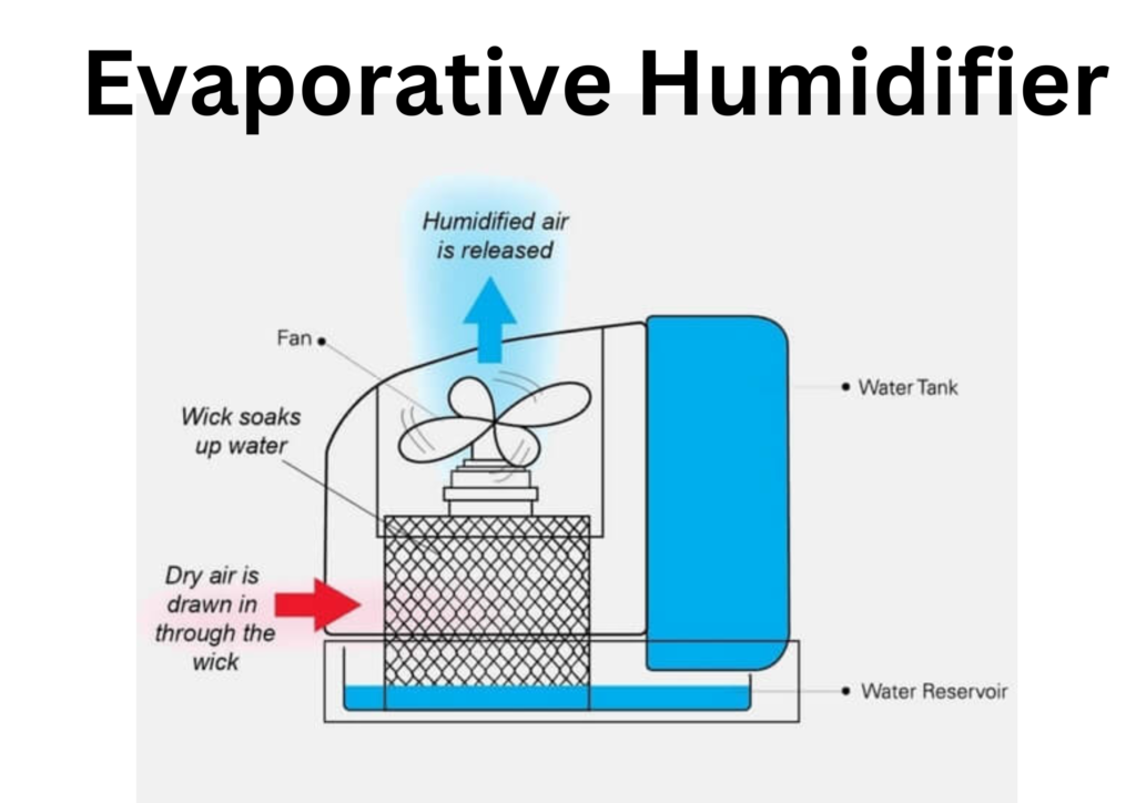 Cool Mist Humidifier