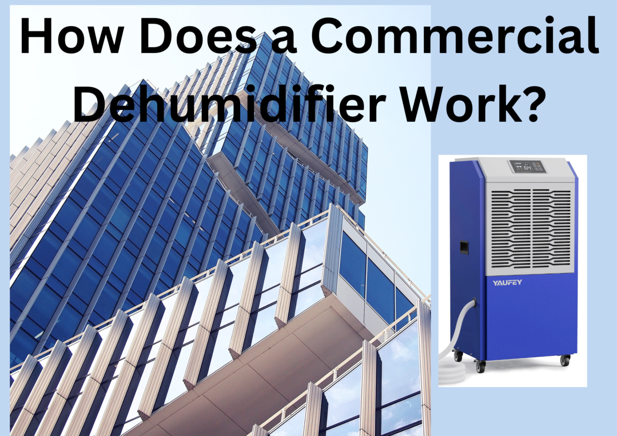 How Does a Commercial Dehumidifier Work