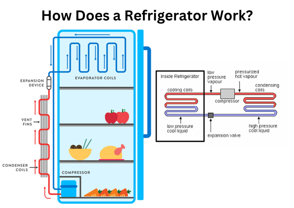 How Does a Refrigerator Work