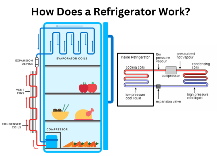 How Does A Refrigerator Work A Step By Step Guide 2024