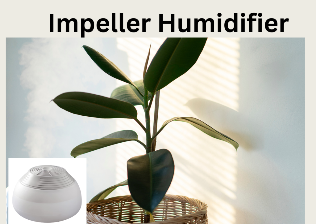 Cool Mist Humidifier