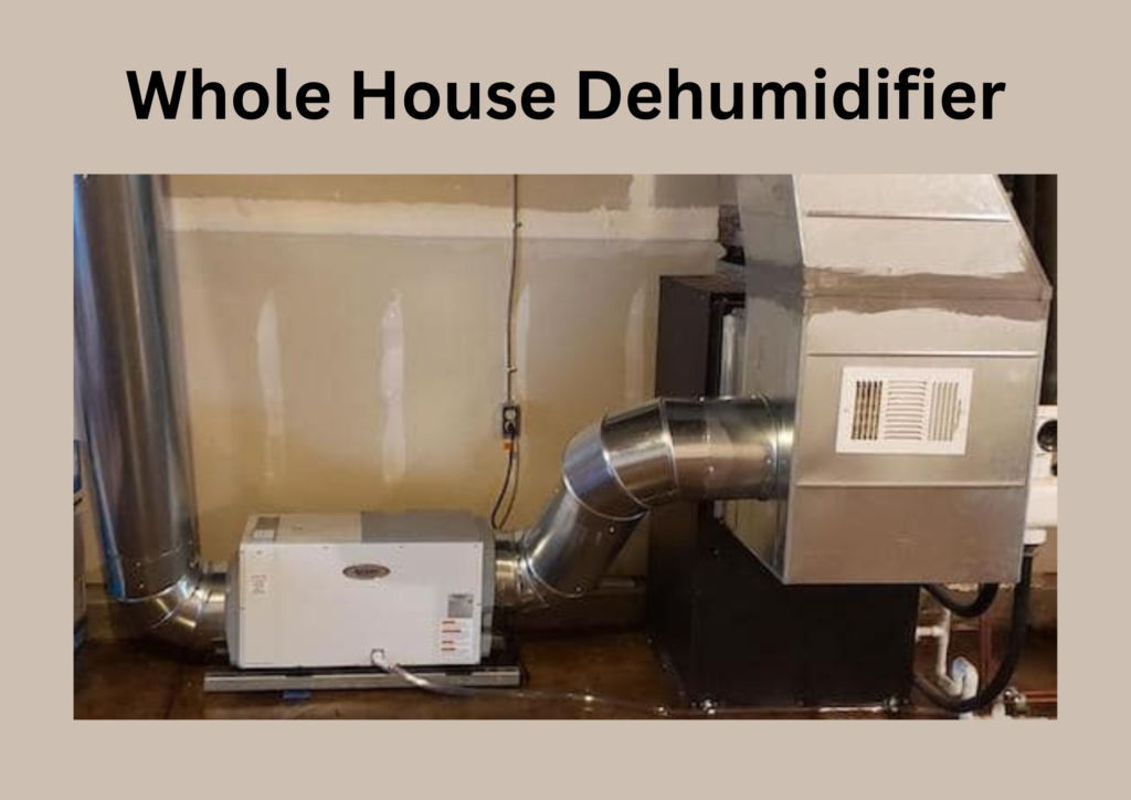 Whole House Dehumidifier