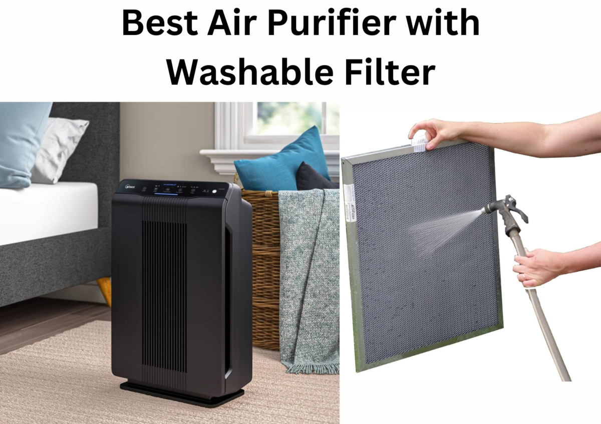 Best Air Purifier with Washable Filter