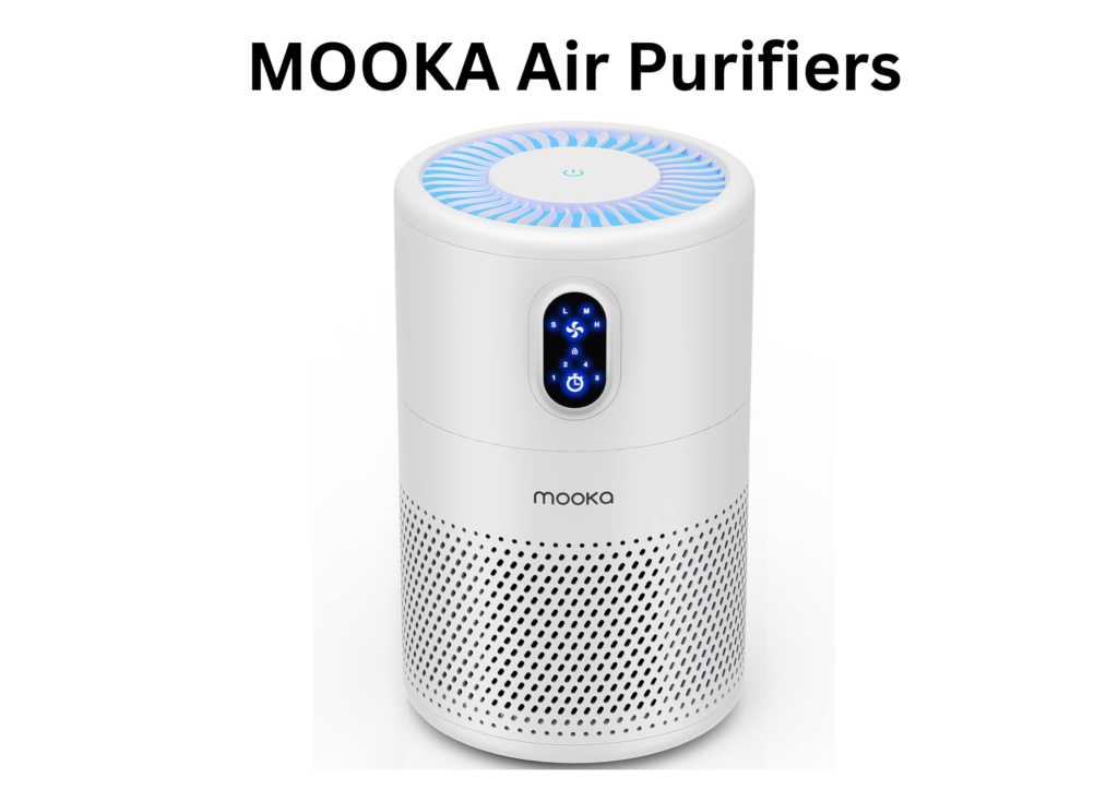 Best Air Purifier with HEPA Filter