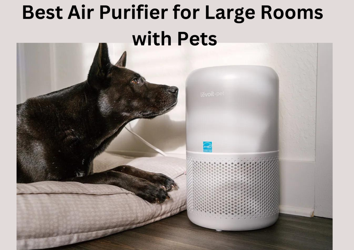 Best Air Purifier for Large Rooms with Pets