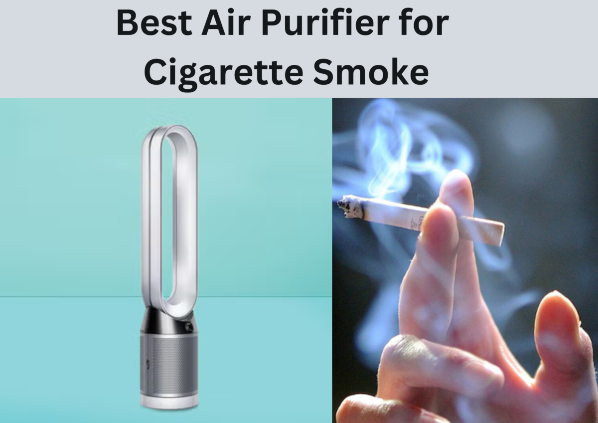 Best Air Purifier for Cigarette Smoke