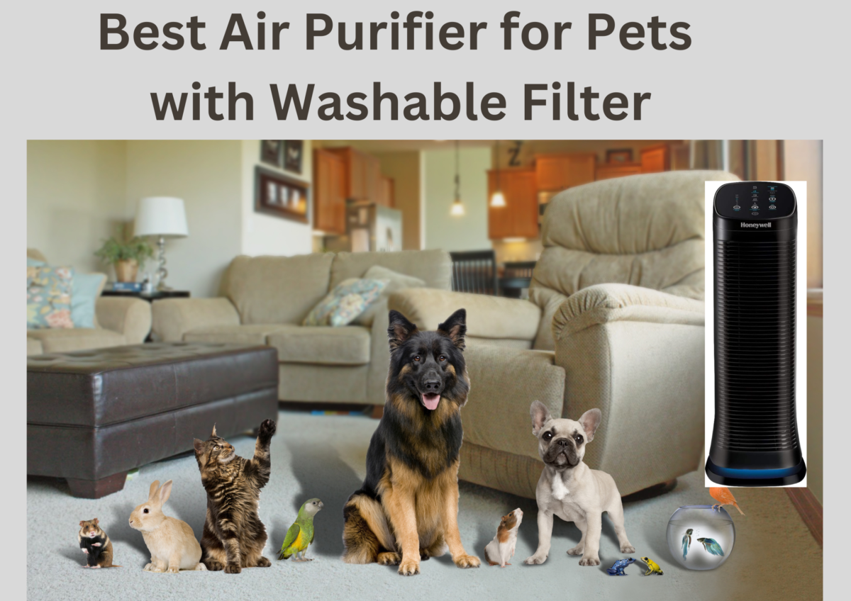 Best Air Purifier for Pets with Washable Filter