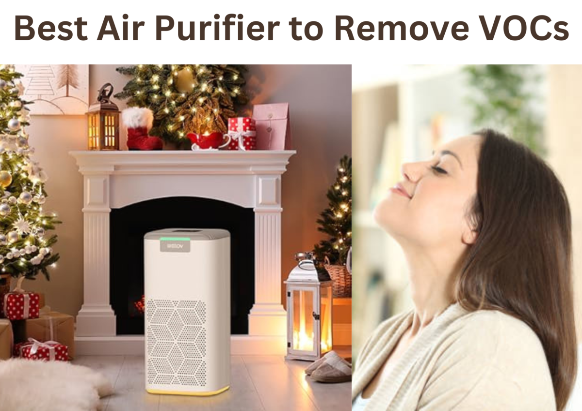 Best Air Purifier to Remove VOCs