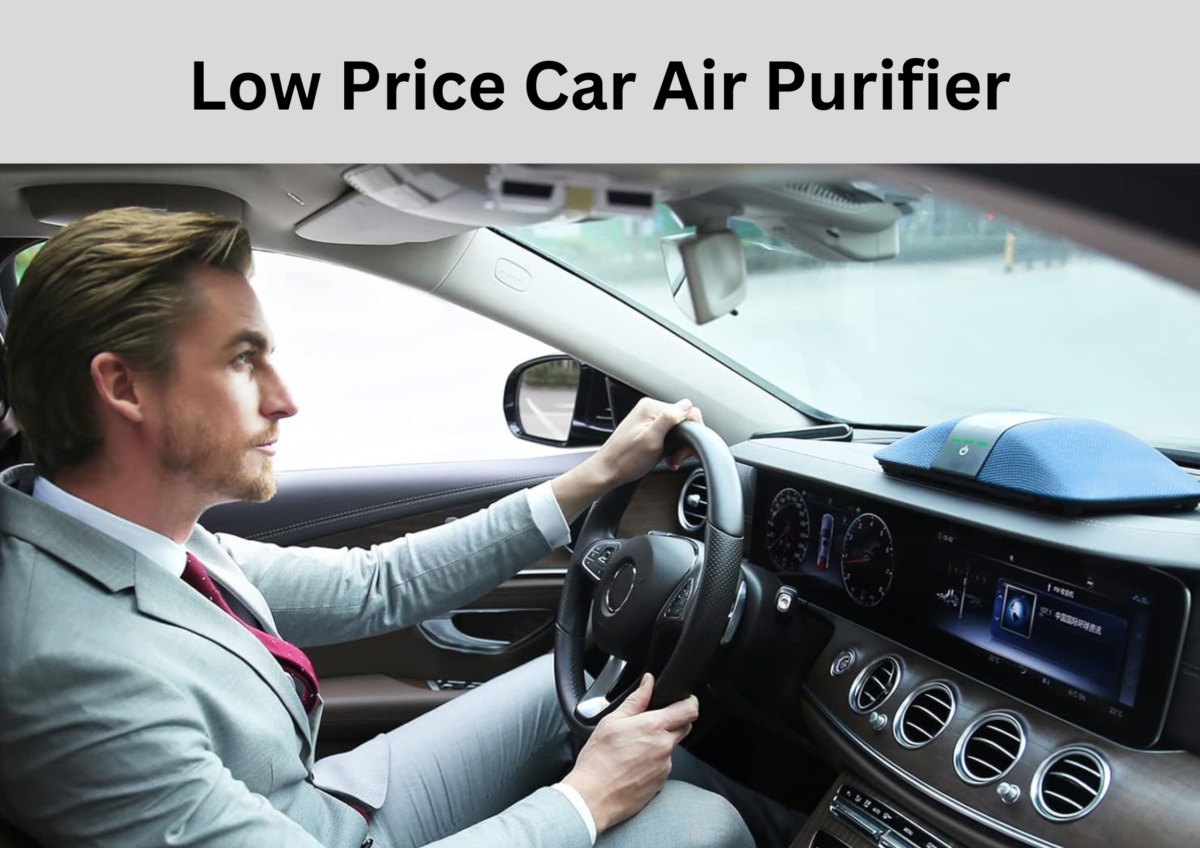 low price car air purifier