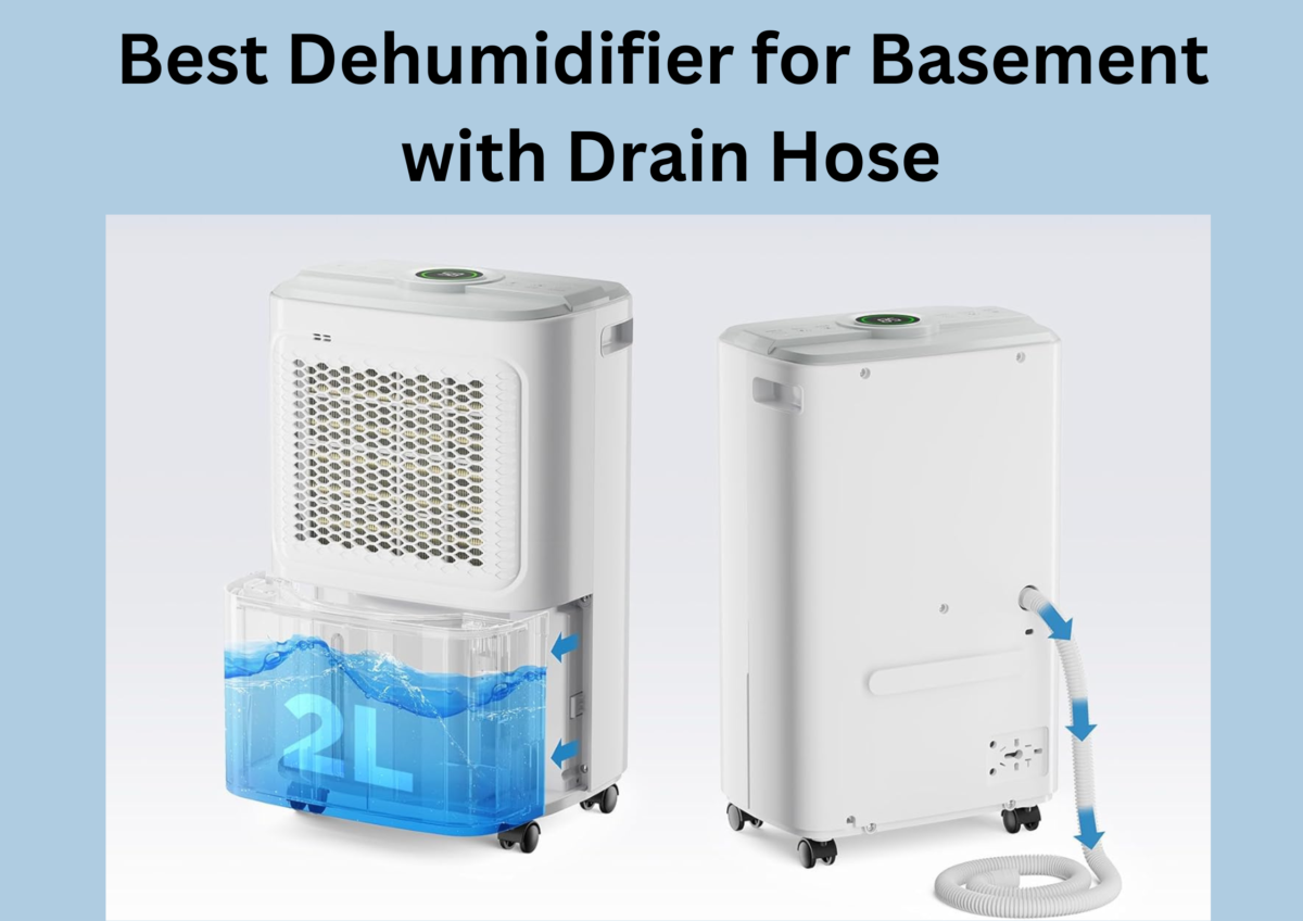 Best Dehumidifier for Basement with Drain Hose