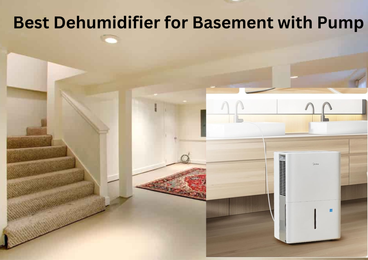 Best Dehumidifier for Basement with Pump