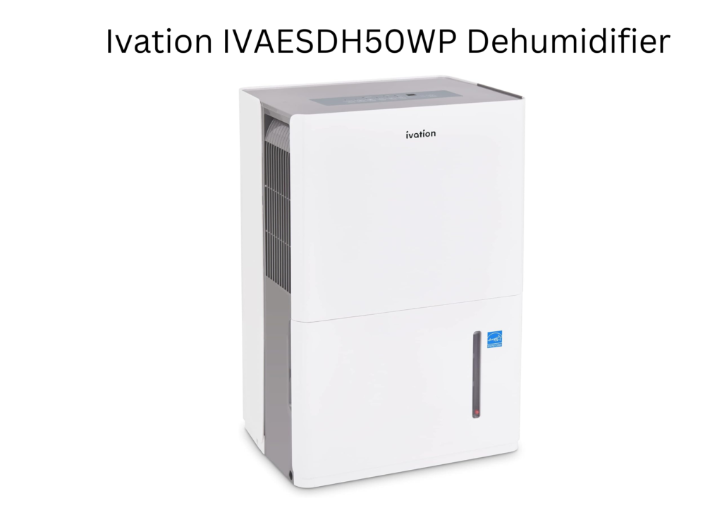 Best Dehumidifier for Basement with Pump