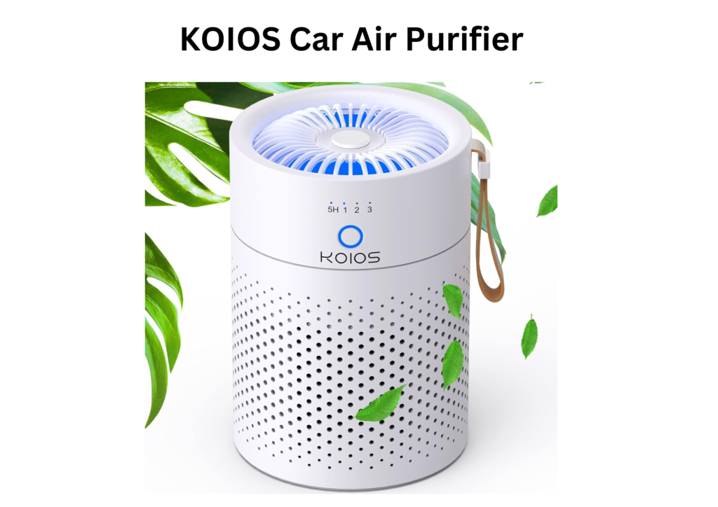 Best Car Air Purifier for Smokers