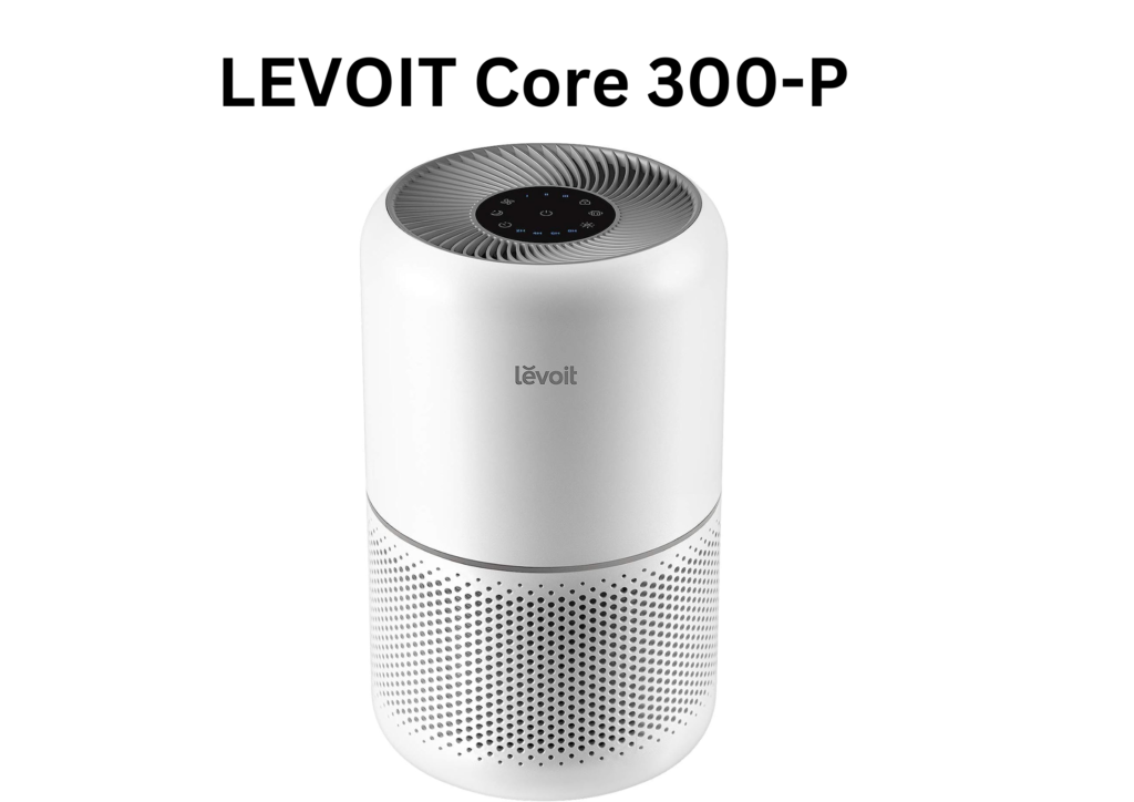  best air purifier to remove VOCs