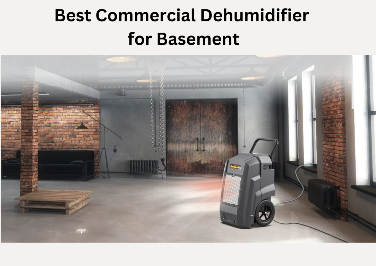 Best Commercial Dehumidifier for Basement