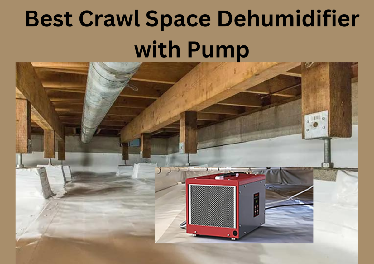 Best Crawl Space Dehumidifier with Pump