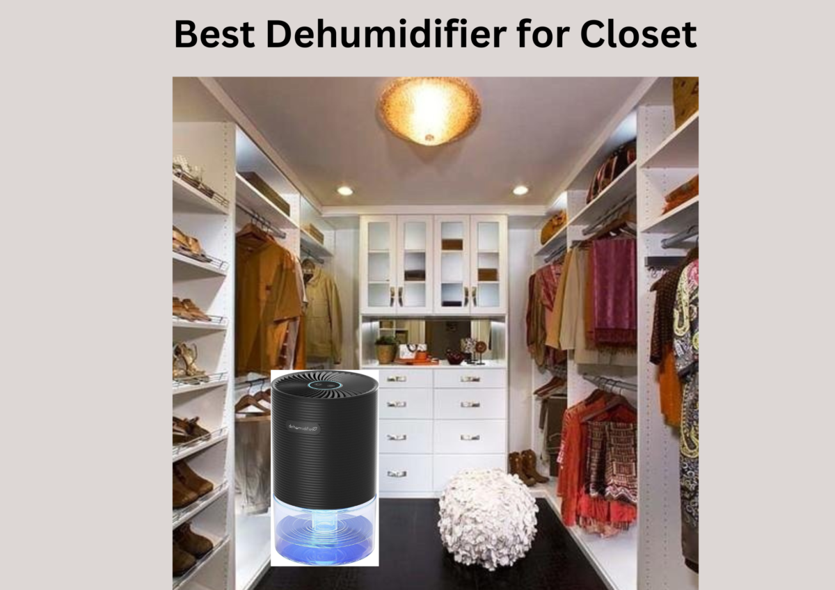 Best Dehumidifier for Closet