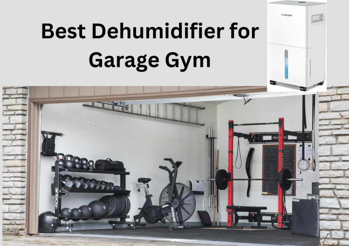 Best Dehumidifier for Garage Gym