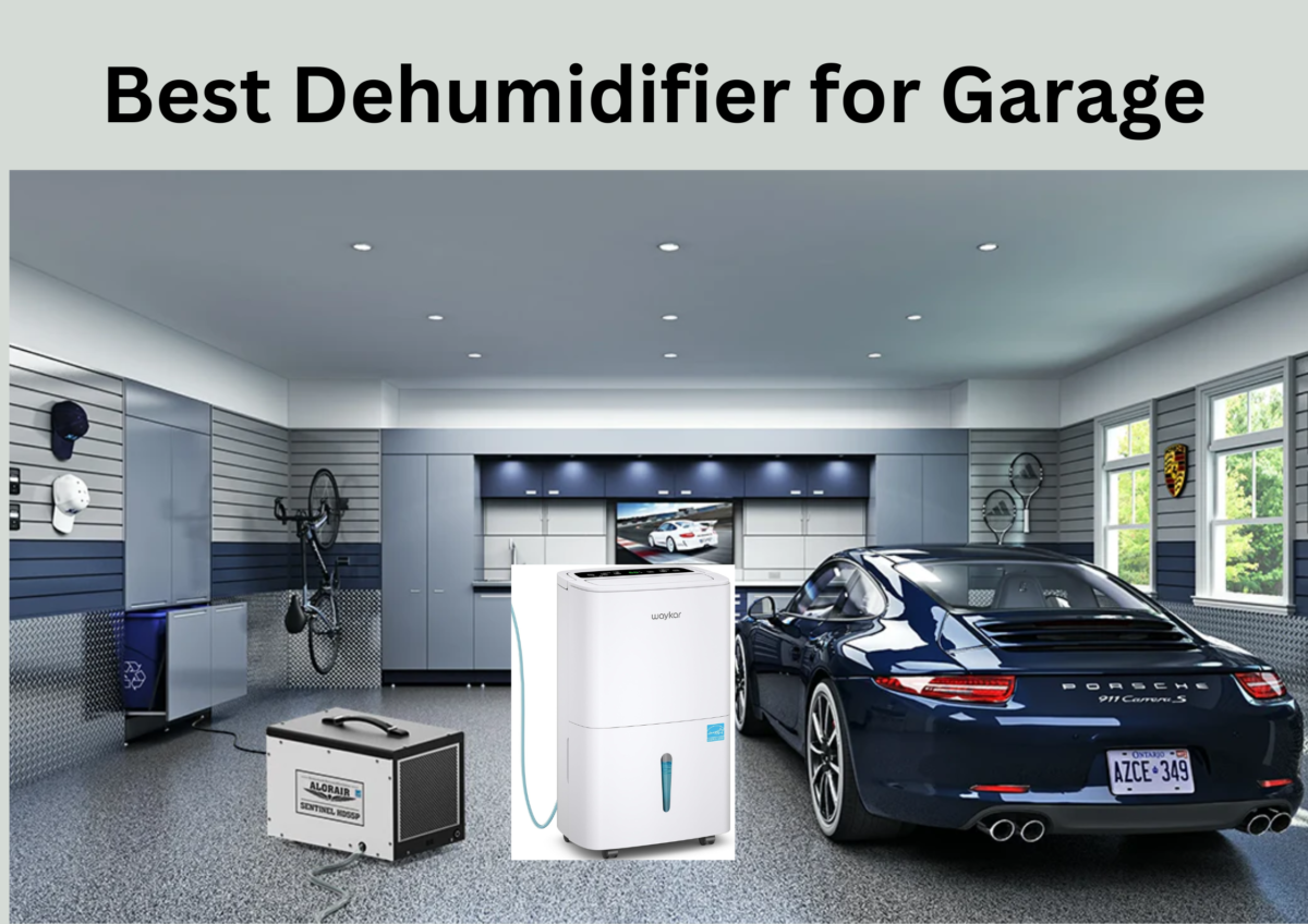 Best Dehumidifier for Garage