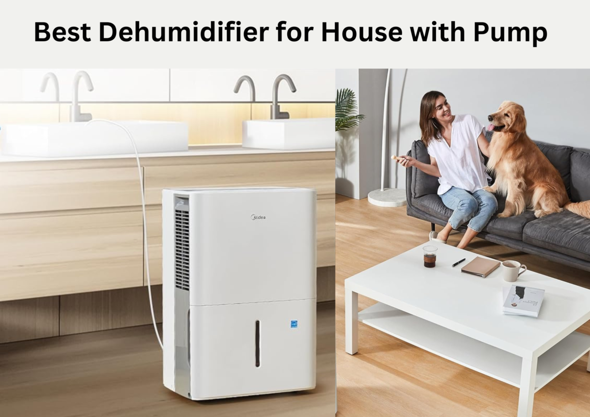 Best Dehumidifier for House with Pump