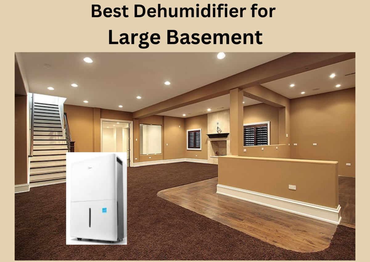 Best Dehumidifier for Large basement