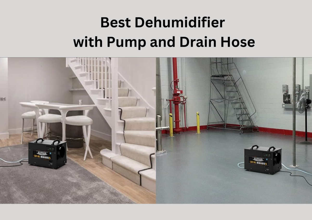 Best Dehumidifier with Pump and Drain Hose