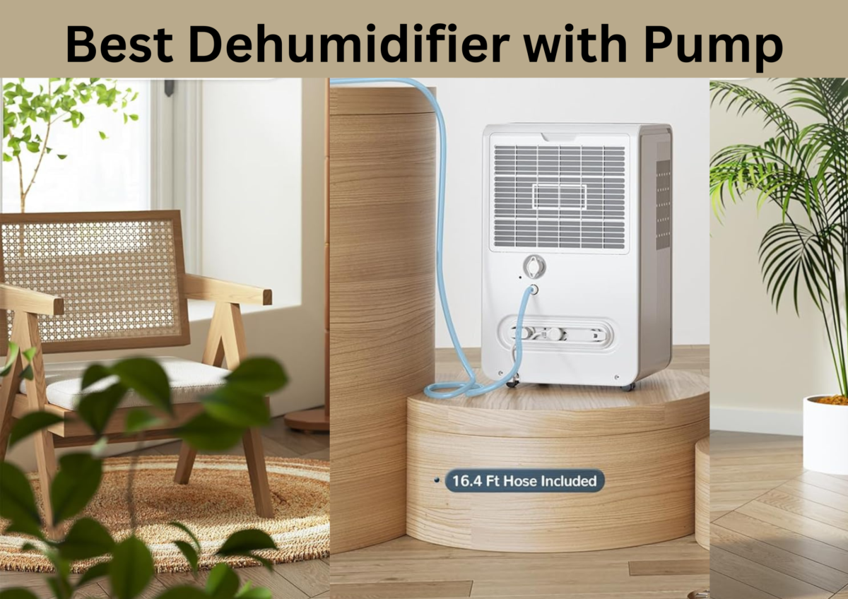 Best Dehumidifier with Pump