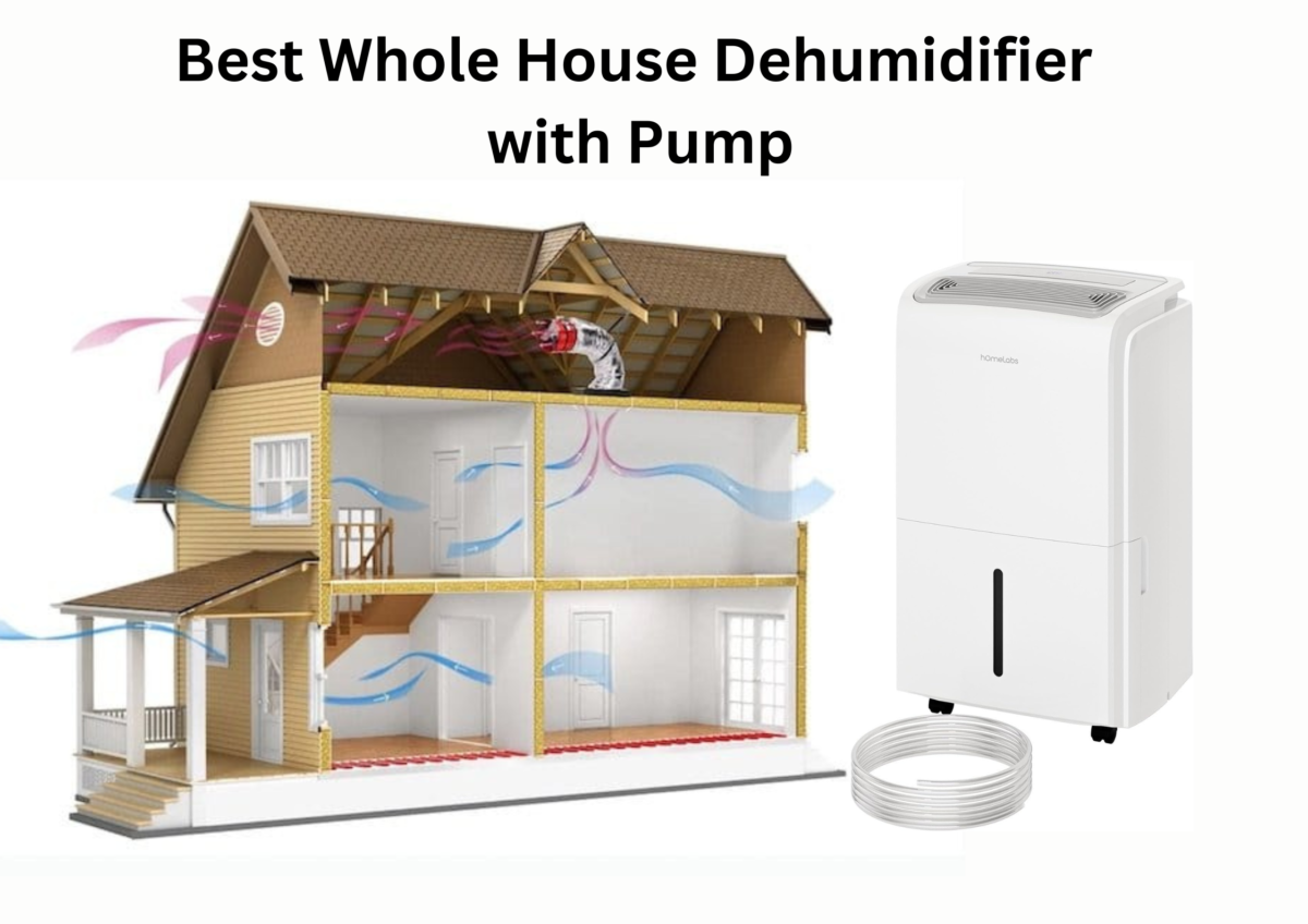 Best Whole House Dehumidifier with Pump