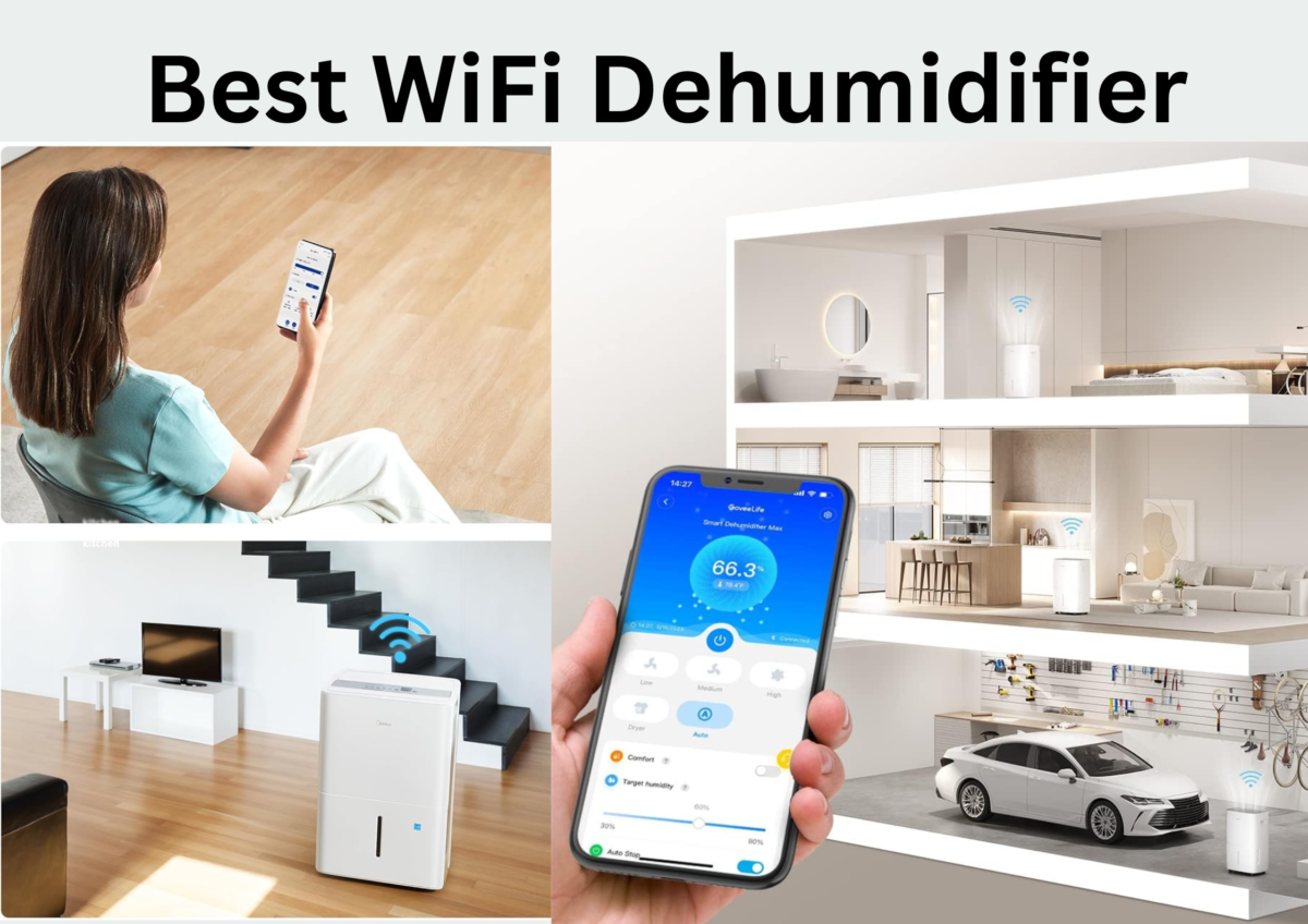 Best WiFi Dehumidifier