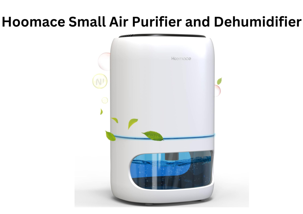 Best Dehumidifier for Bedroom with Air Purifier