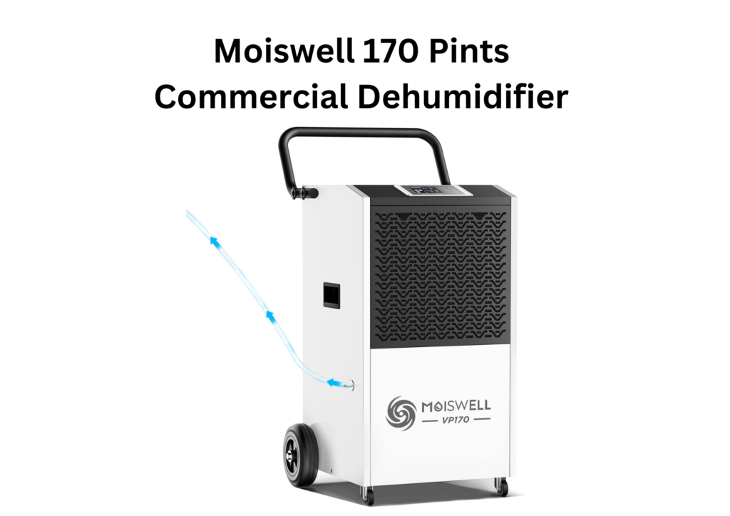 Best Commercial Dehumidifier for Basement