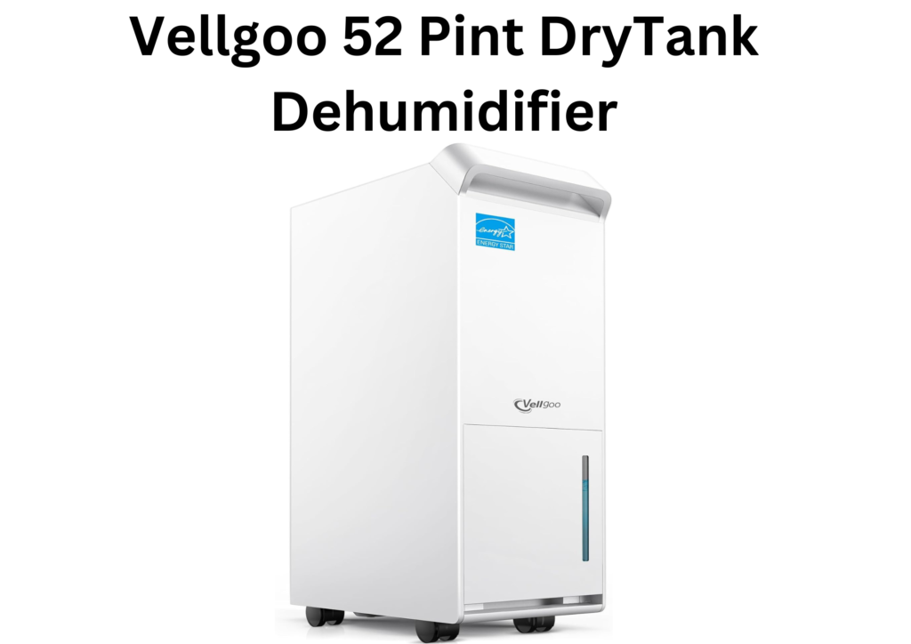 best dehumidifier for home use