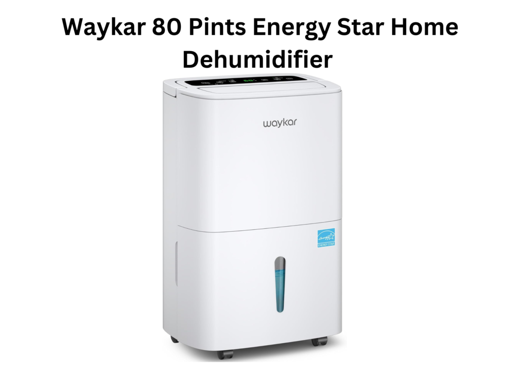 Best Dehumidifier for Large Basement