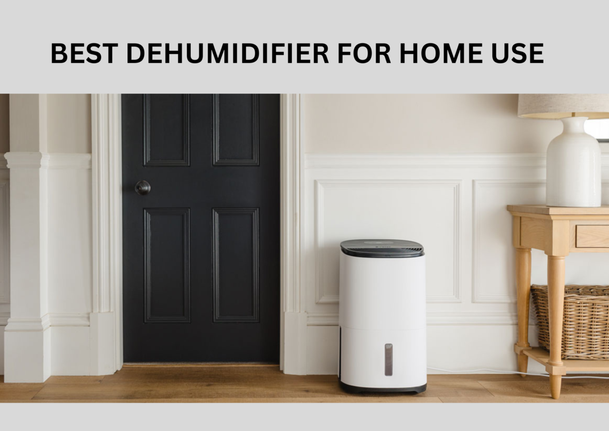 best dehumidifier for home use