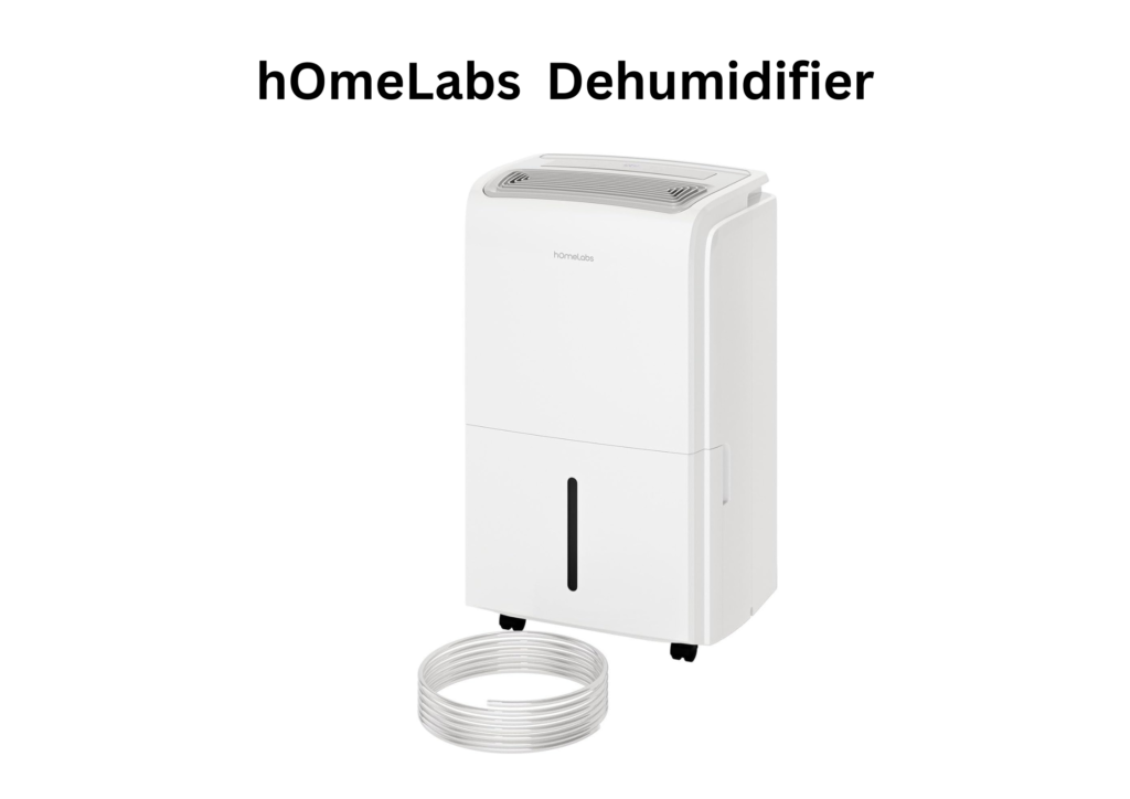 Best Whole House Dehumidifier with Pump