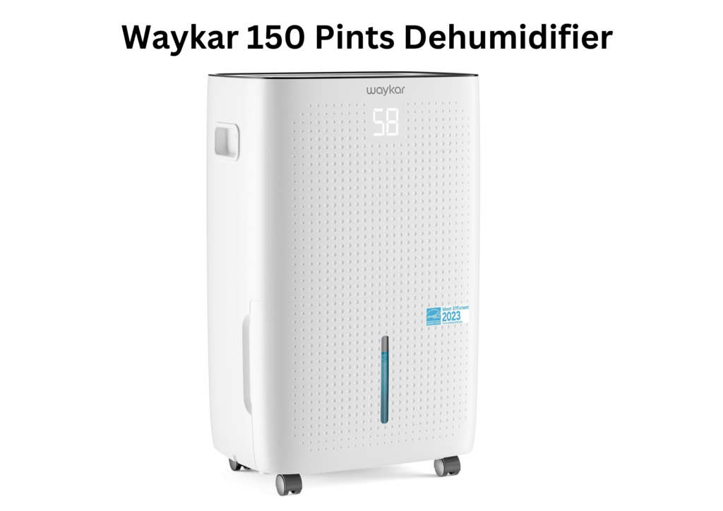 Best Dehumidifier for House with Pump