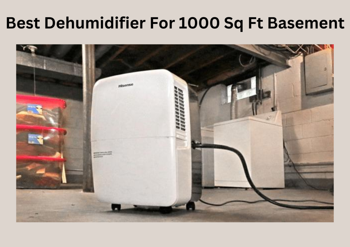 Best Dehumidifier For 1000 Sq Ft Basement