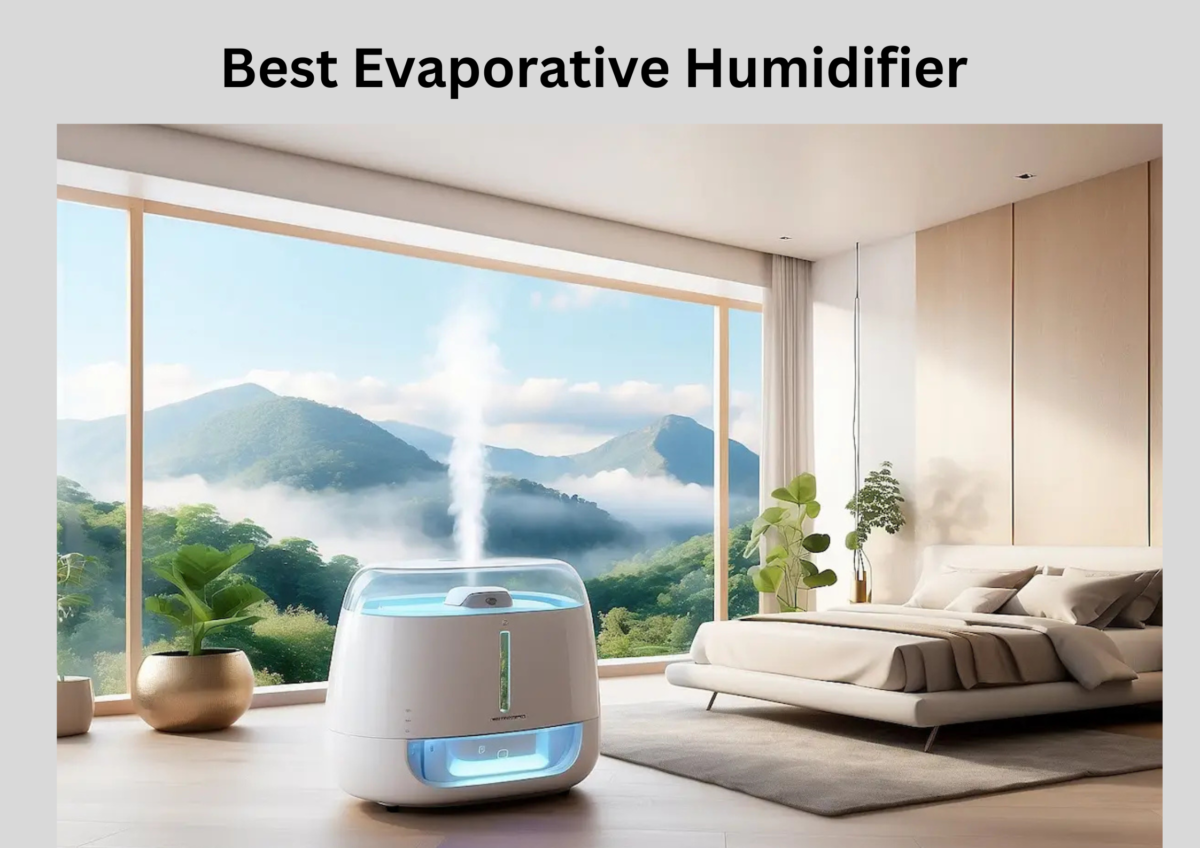 Best Evaporative Humidifier