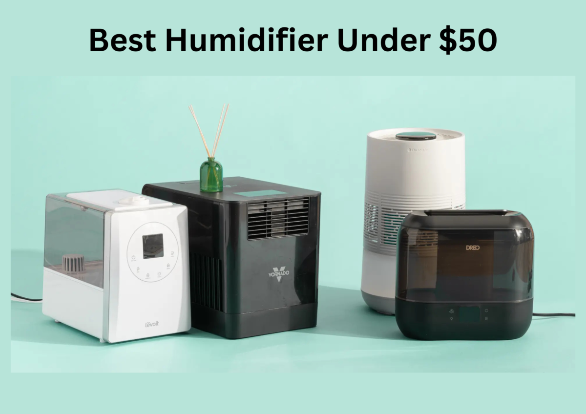 Best Humidifier Under $50