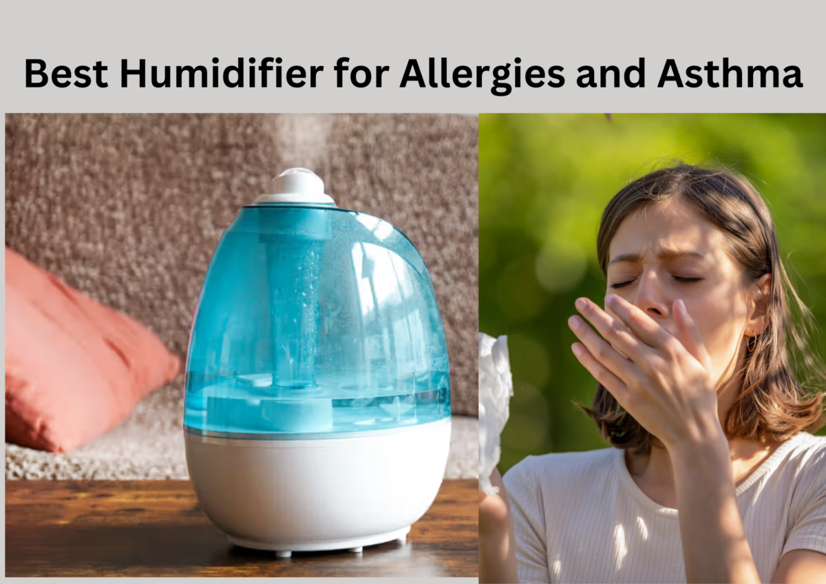 Best Humidifier for Allergies and Asthma