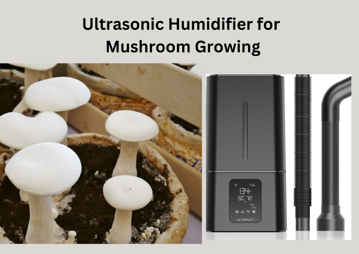 Ultrasonic Humidifier for Mushroom Growing