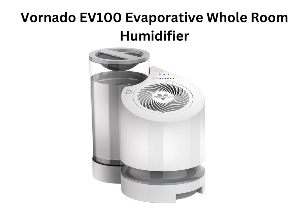 Best Evaporative Humidifier