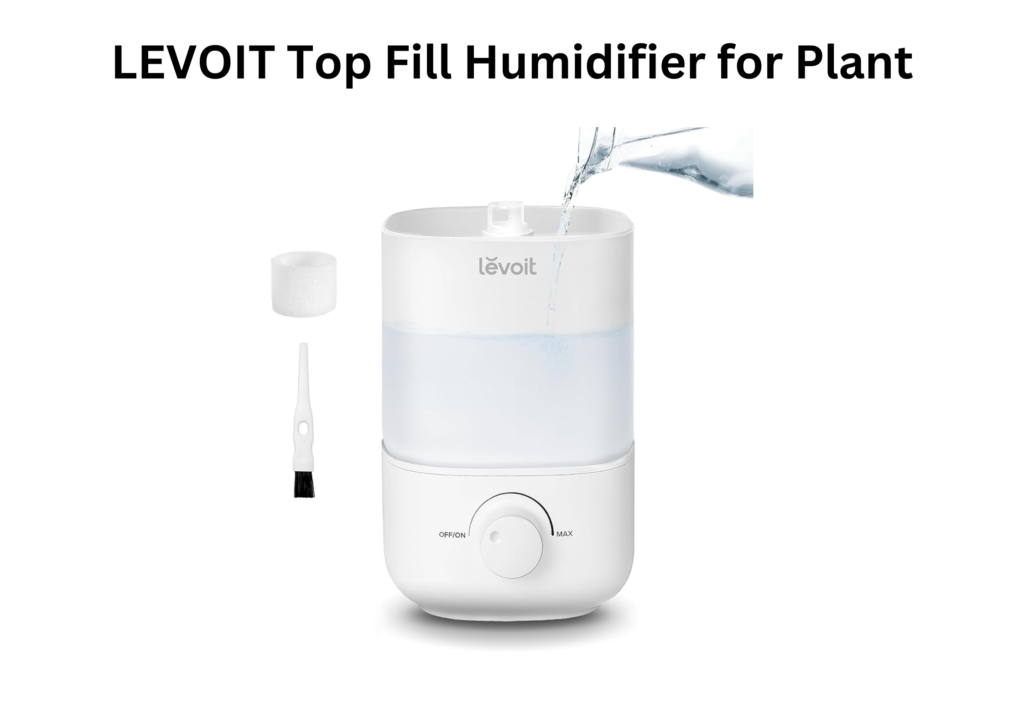 Best Humidifier for Indoor Plants