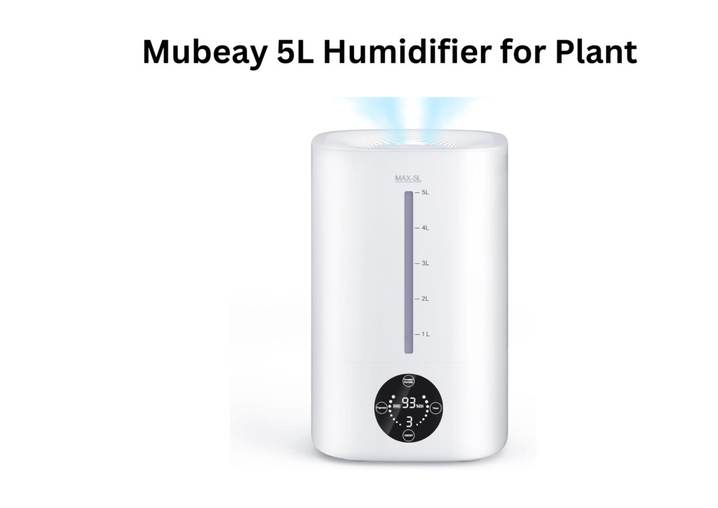 Best Humidifier for Indoor Plants